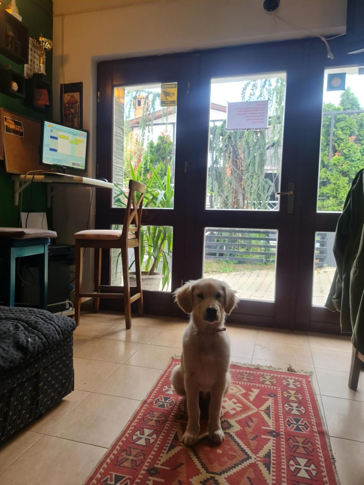 Guesthouse Hotel My Home 프리즈렌 외부 사진